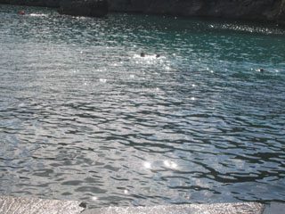 Invia questa cartolina